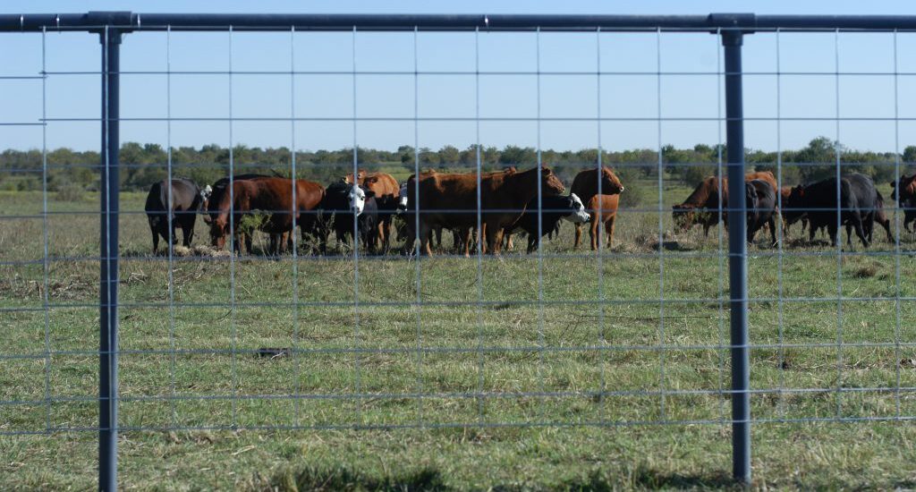 Wire Livestock Panels Market