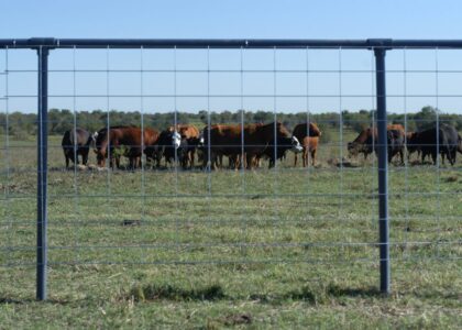 Wire Livestock Panels Market