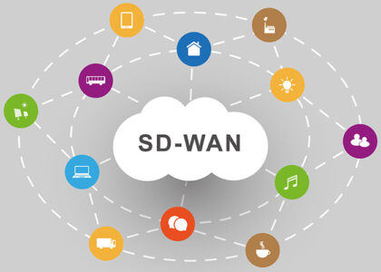 Software-Defined Wide Area Network Market