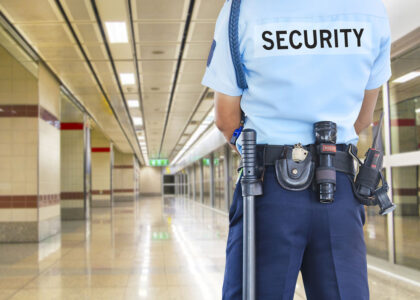 Public Safety & Security Market