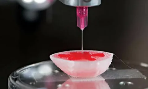 3D Bioprinting Market