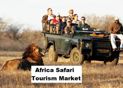 Africa Safari Tourism Market