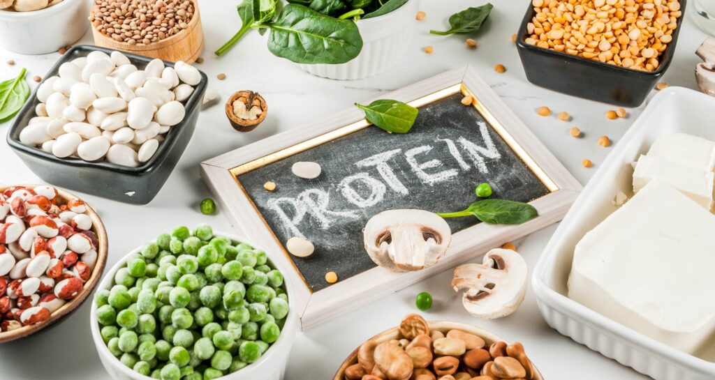 alternative protein market