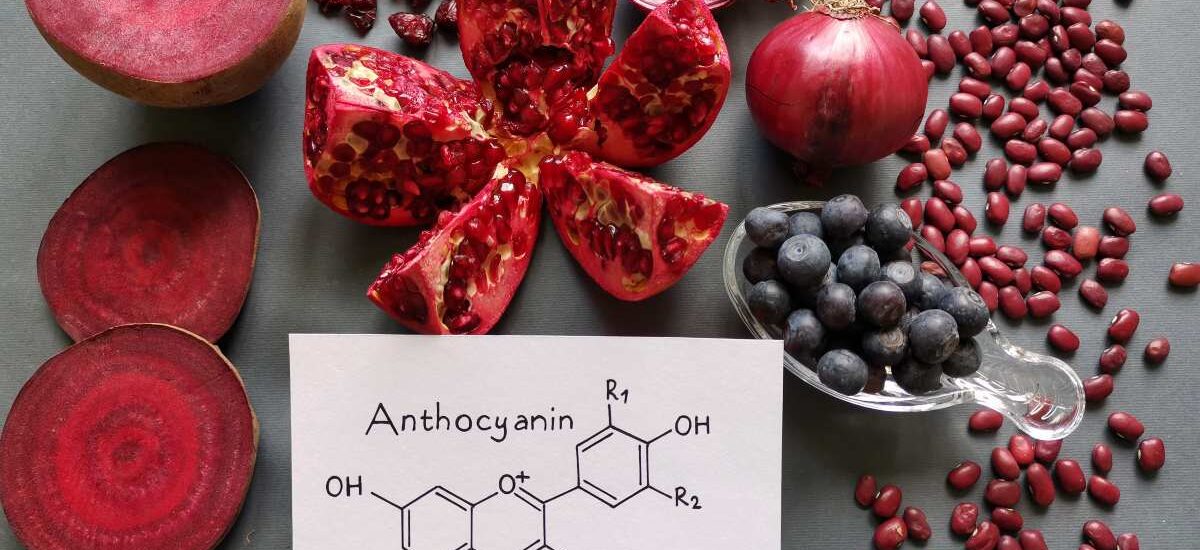 Anthocyanin Food Colors Market