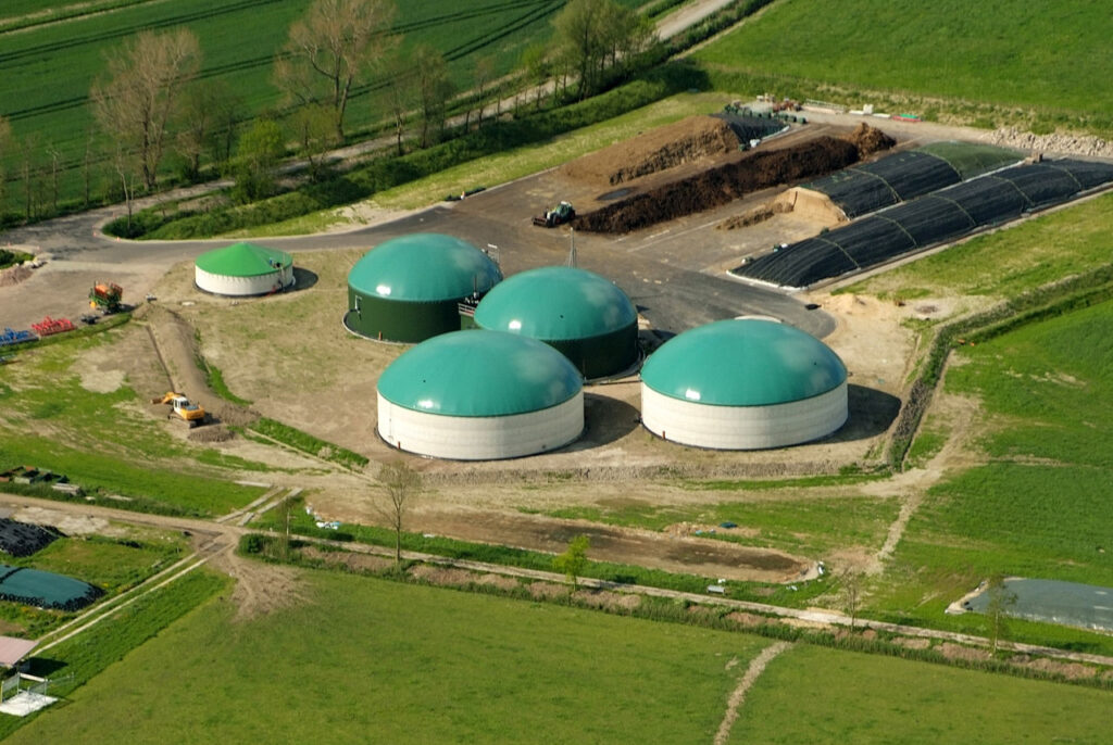 Biogas Market