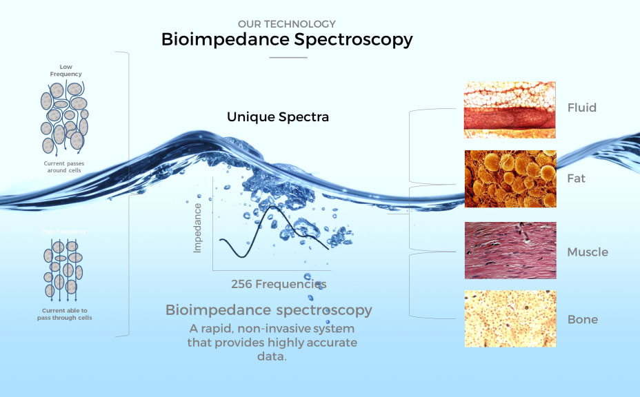 Bioimpedance Spectroscopy Industry