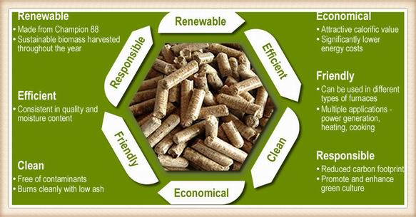 Europe Biomass Pellets Industry