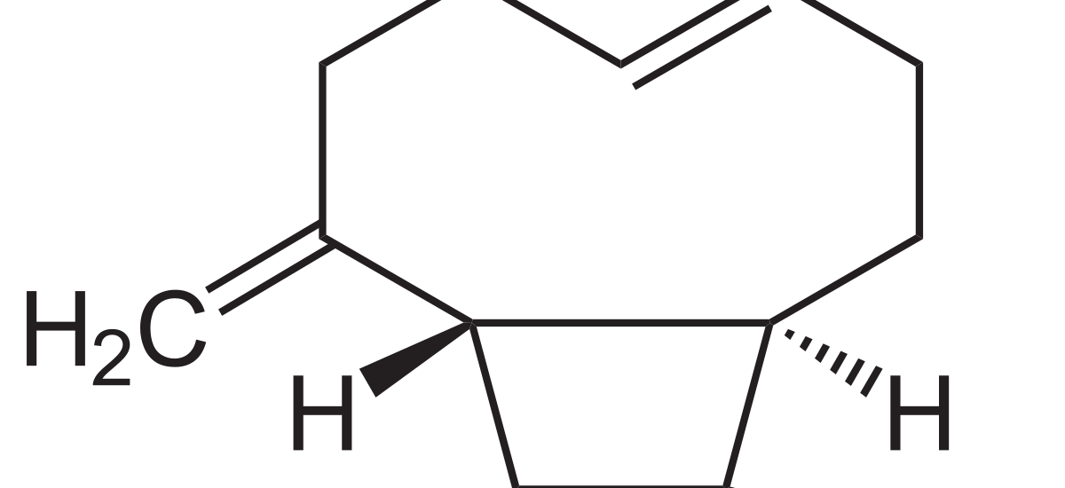 Caryophyllene Market