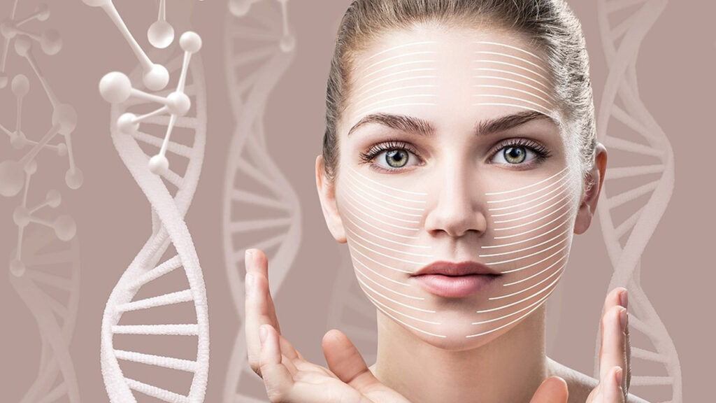 Collagen Skin Matrix Industry