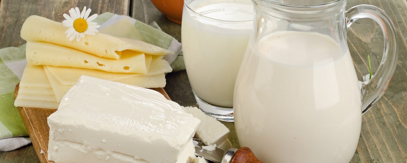 Dairy Ingredients Market