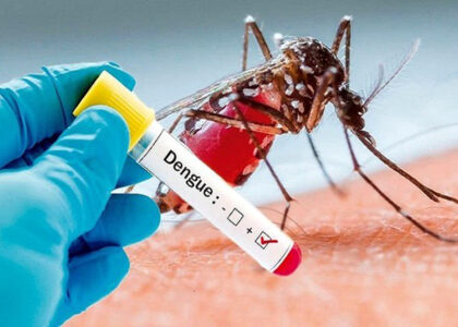 Global Dengue Vaccines Industry