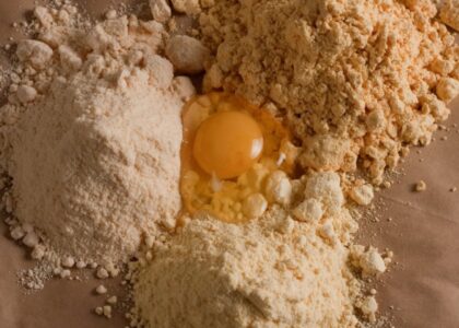 Egg Powder Market