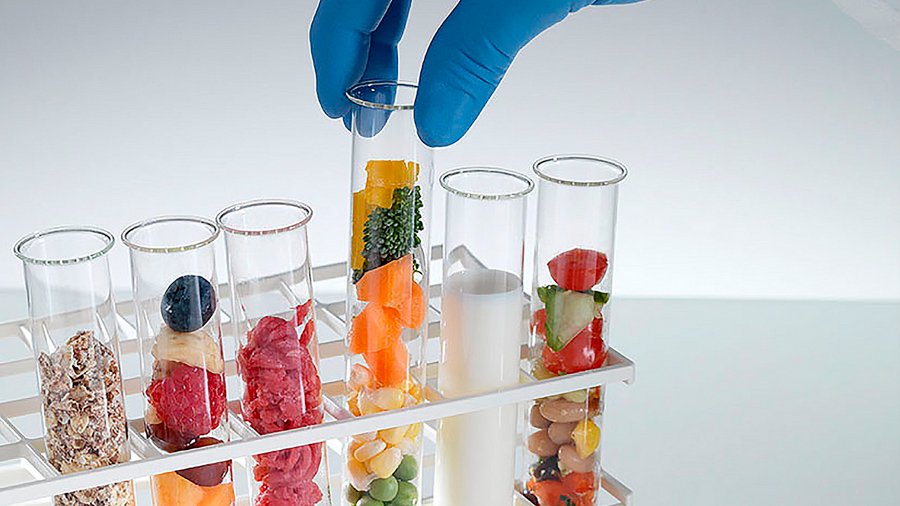 Food Authenticity Testing Services Market