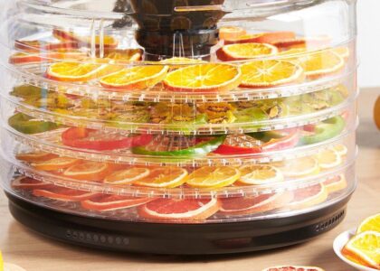 Food Dehydrators Market