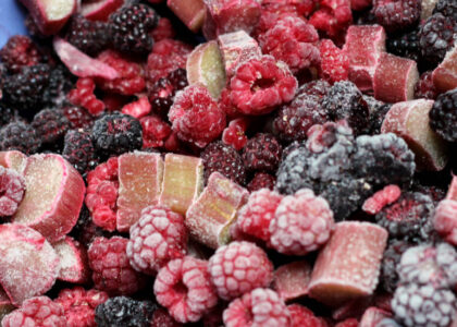 Freeze Dried Fruits Market