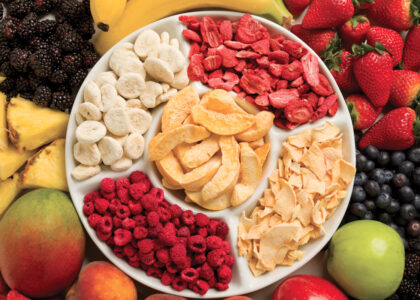 Freeze Dried Fruits Market