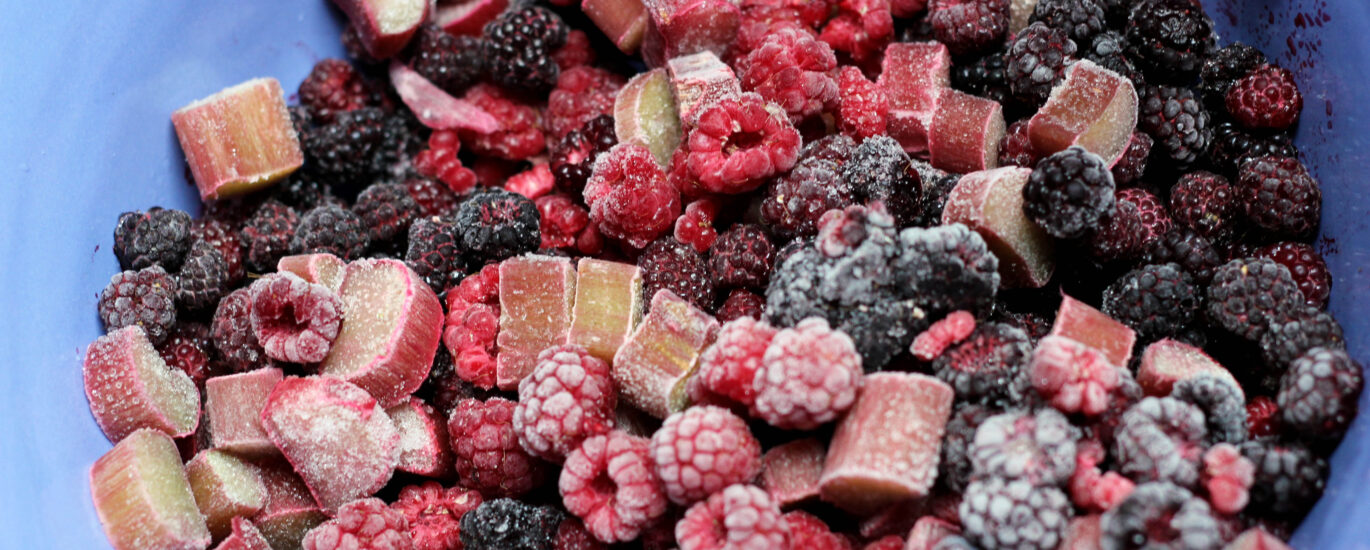 Freeze Dried Fruits Market