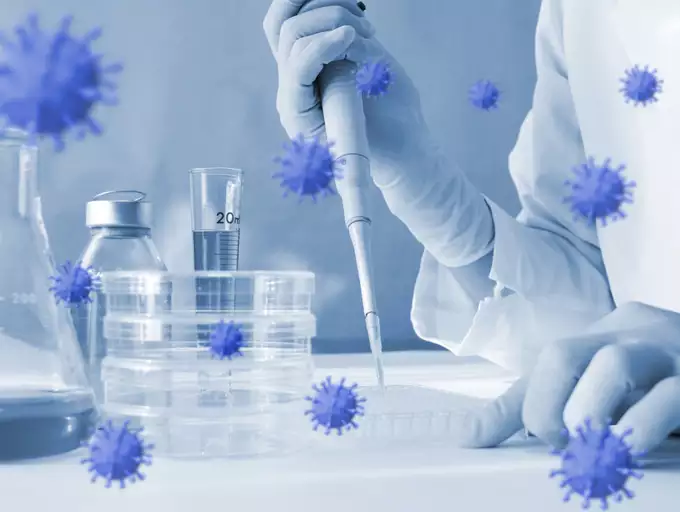 Fungal Testing Equipment Industry