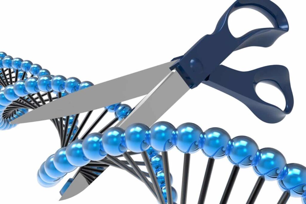 Gene Editing Tools Market