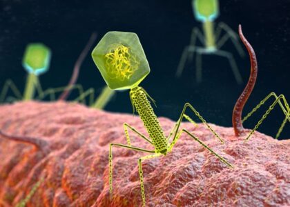 Global Bacteriophage Industry