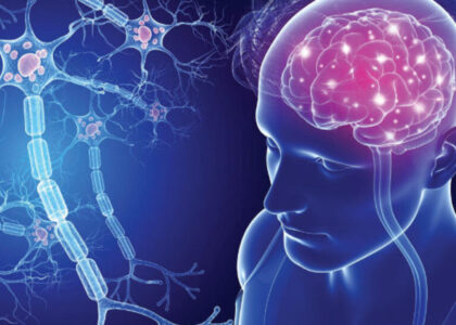 Global Brain Metastasis Therapeutics Industry