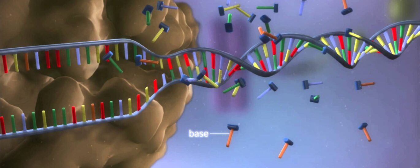 Global DNA Synthesis Industry