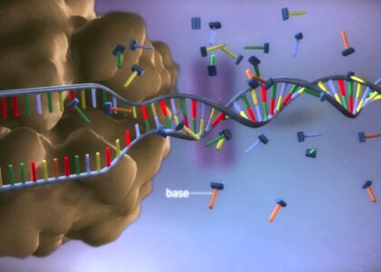 Global DNA Synthesis Industry