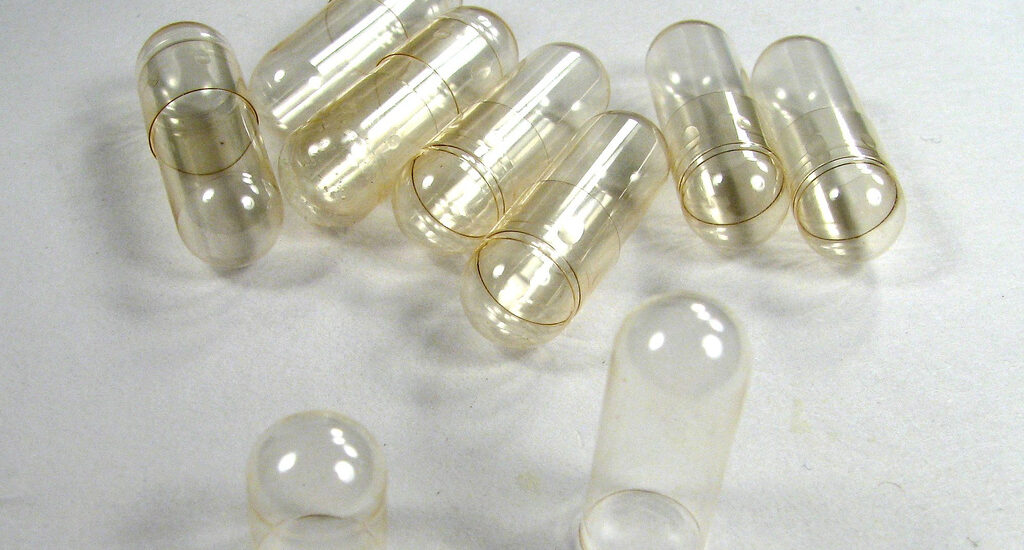 Global Empty Capsules Industry