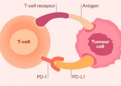 Global PD-1/PD-L1 Inhibitors Industry