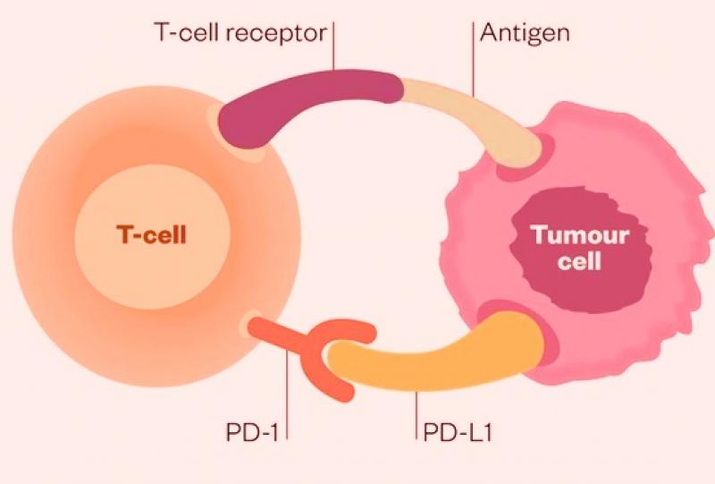 Global PD-1/PD-L1 Inhibitors Industry