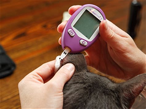 Global Veterinary Glucometers Industry