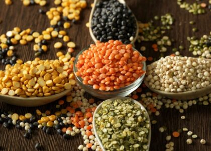 Lentil Protein Market