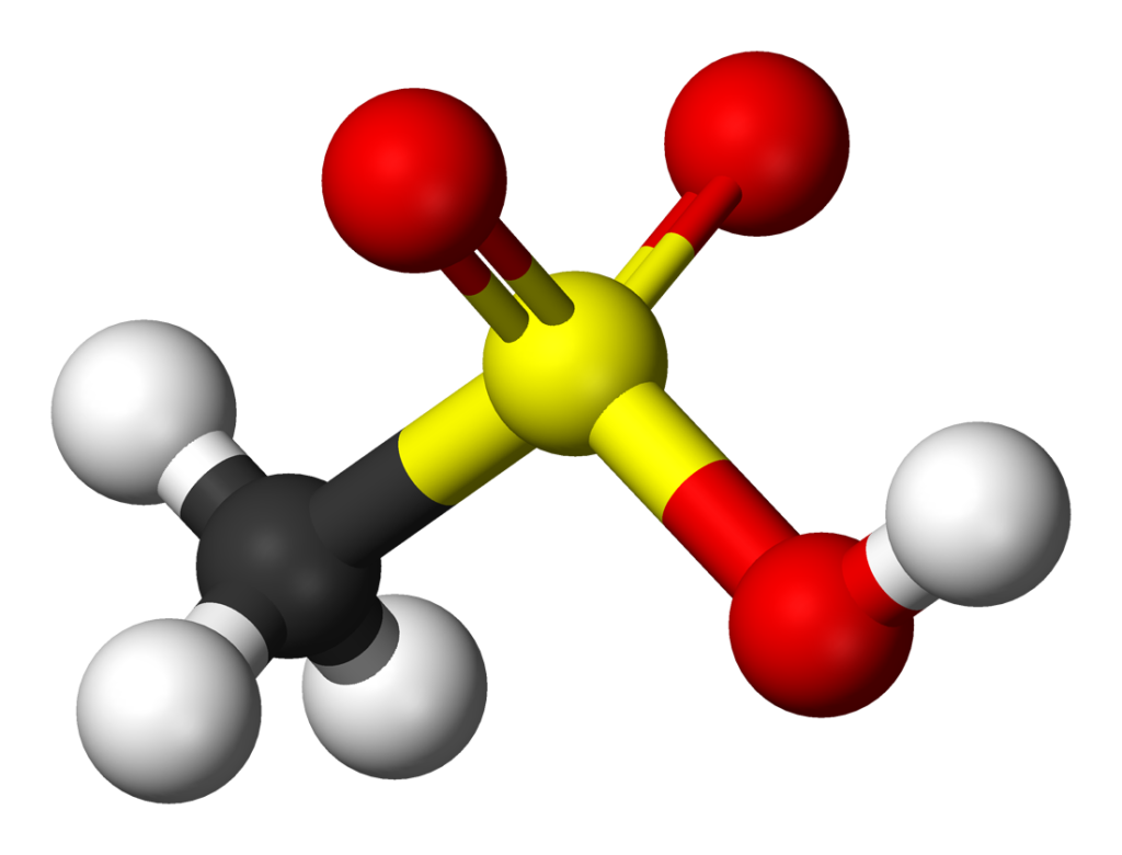 Methane Sulfonic Acid Market