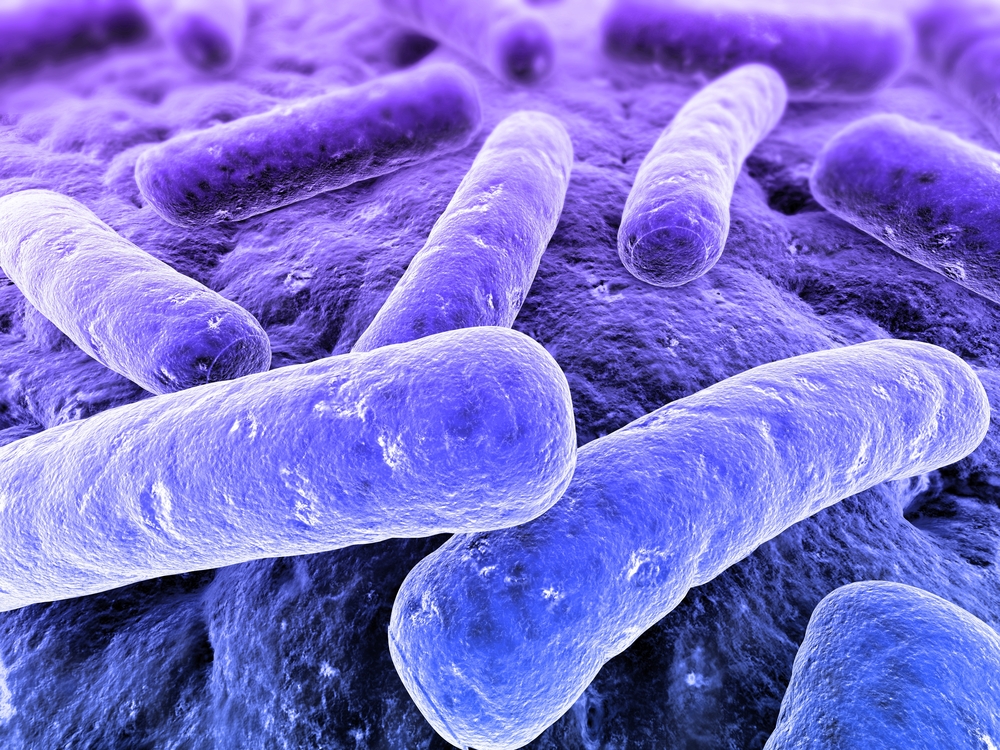 Microbial Identification Market