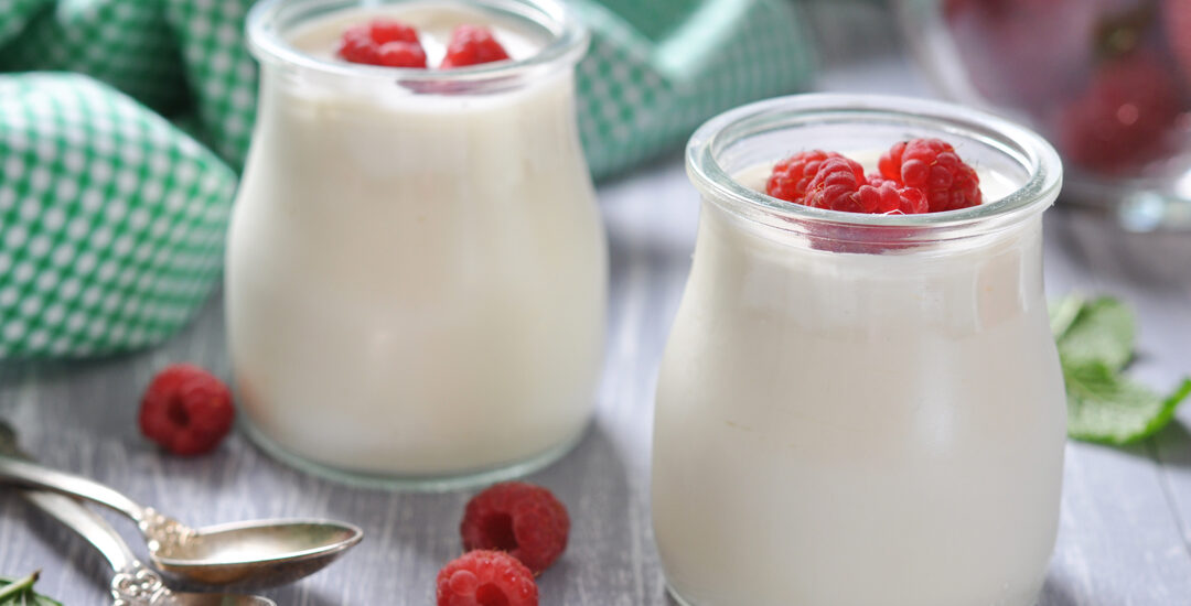 Plant-Powered Palates: Navigating the Booming Non-Dairy Yogurt Market ...