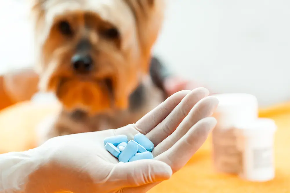 Over-the-Counter Veterinary Drugs Industry