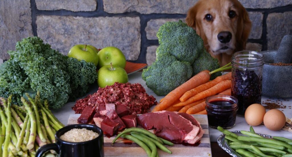 Pet Food Ingredients Market