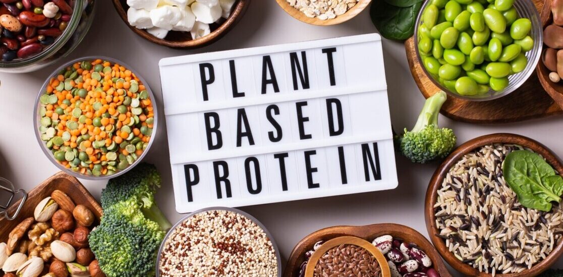 Plant-Based Protein Market