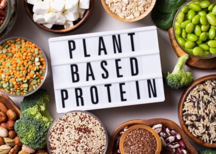 Plant-Based Protein Market