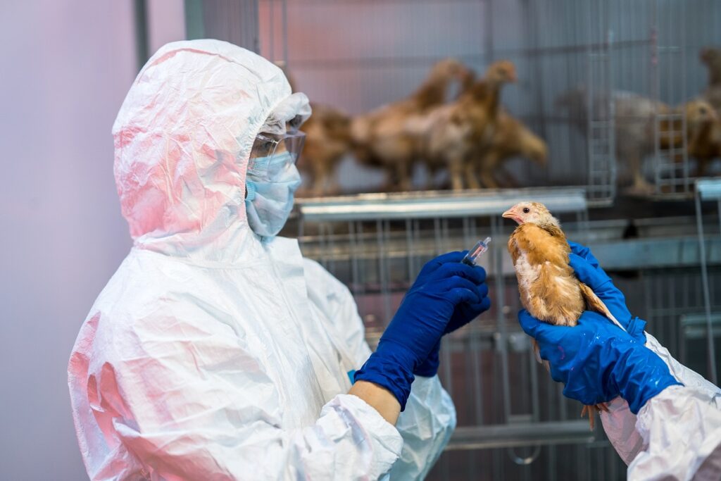 Poultry Diagnostic Testing Industry