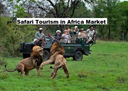 Safari Tourism in Africa Market