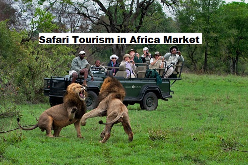 Safari Tourism in Africa Market