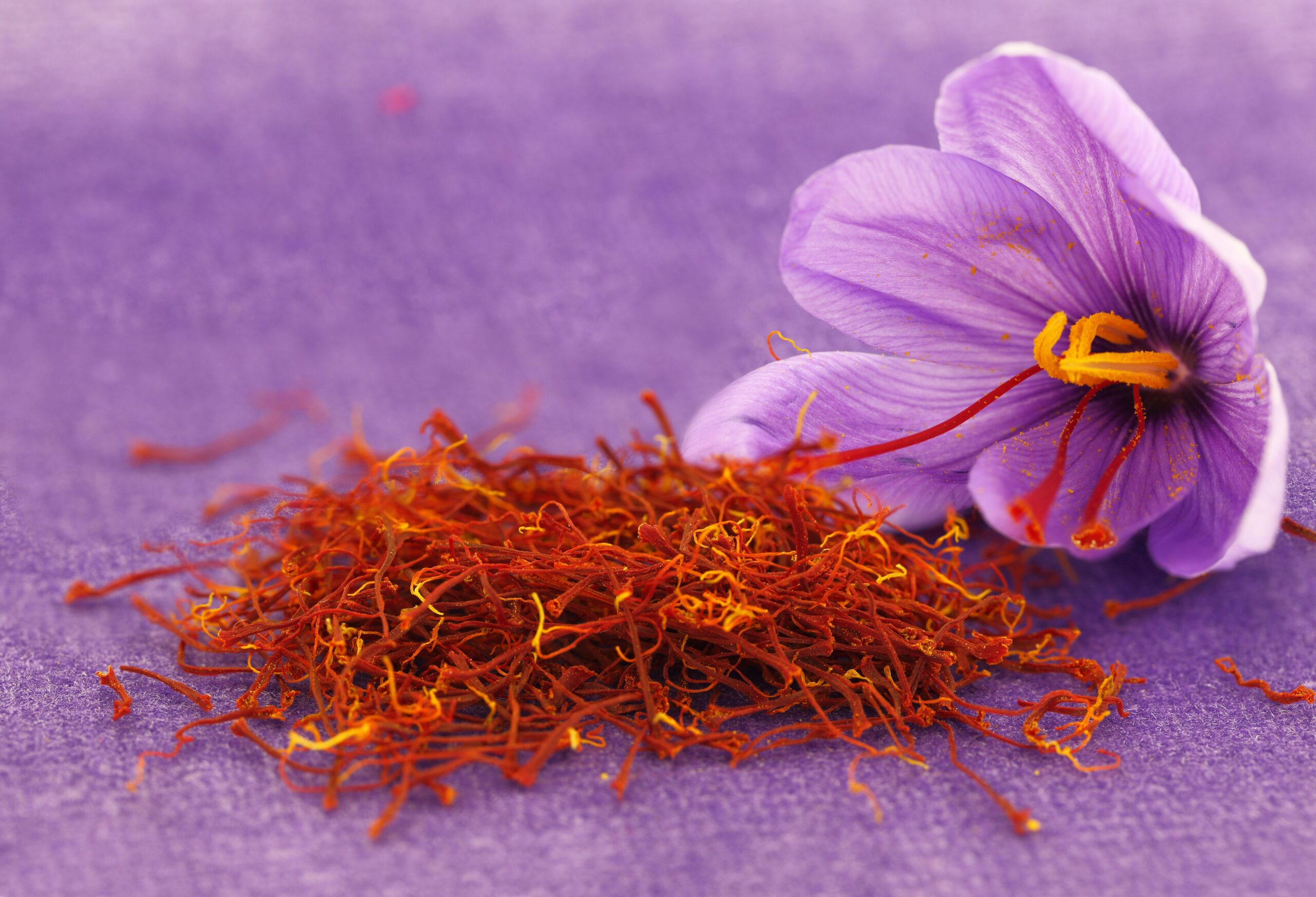 Saffron Market Blooms A Comprehensive Analysis of Growth Trends, Health 