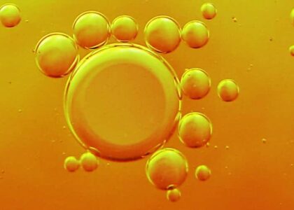 Single Cell Oil Market