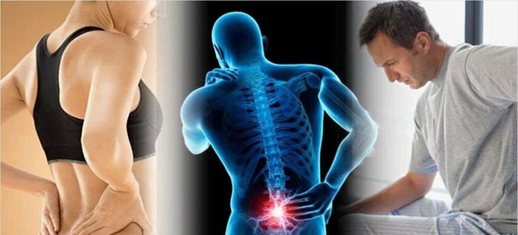 Spine Pain Industry Analysis in United States