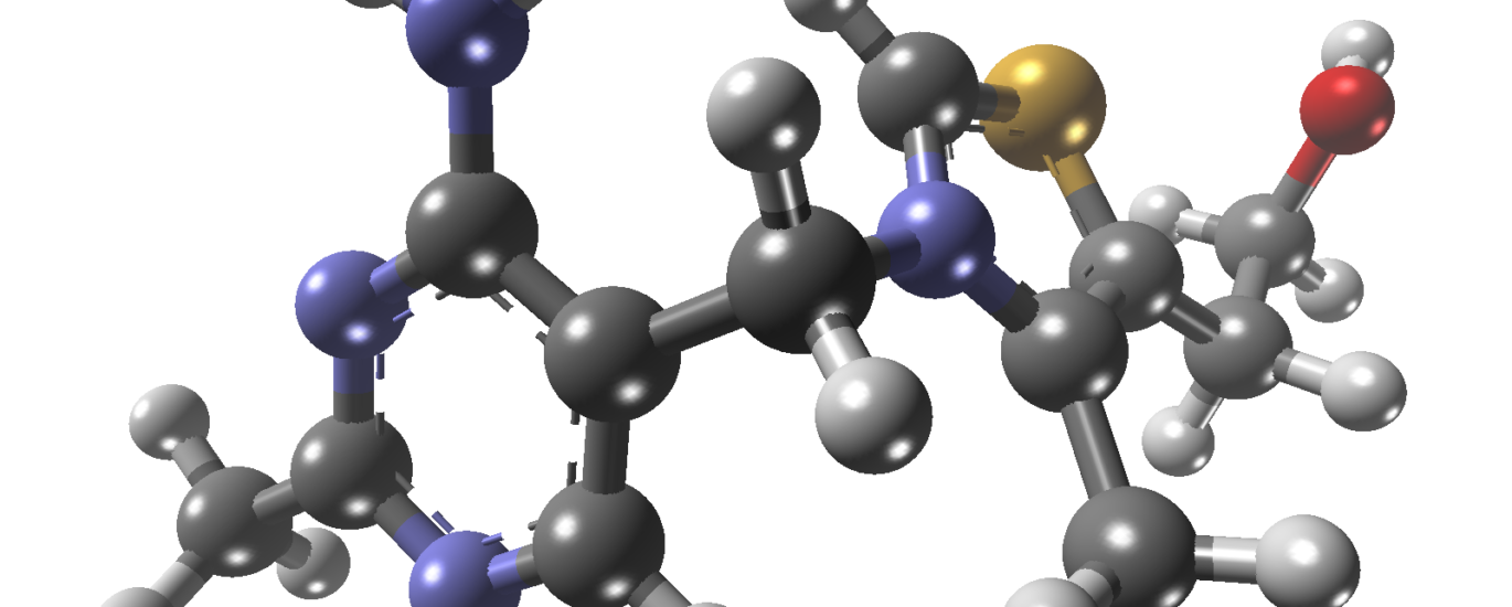 Thiamine Market