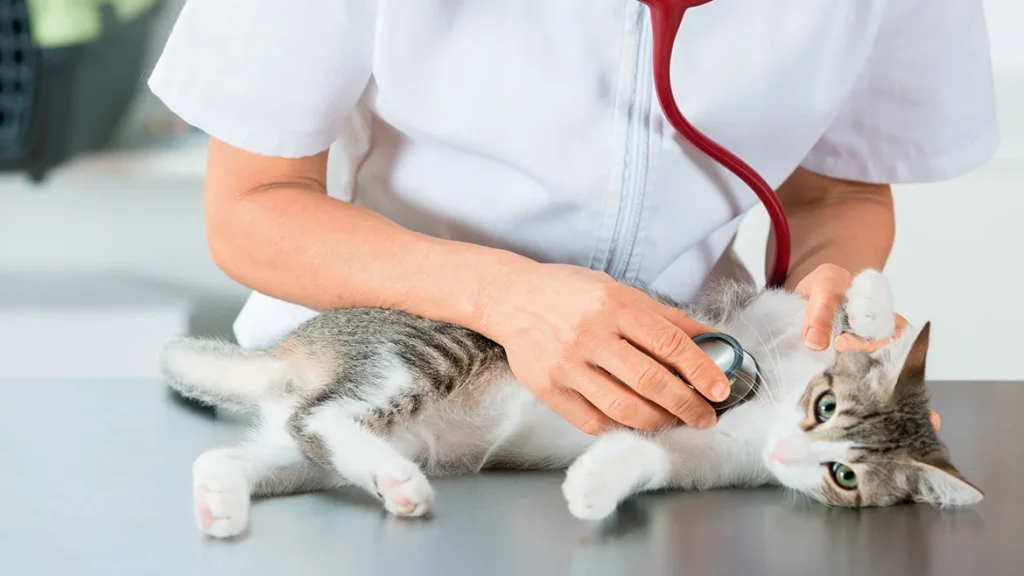 Veterinary Infectious Disease Diagnostics Market