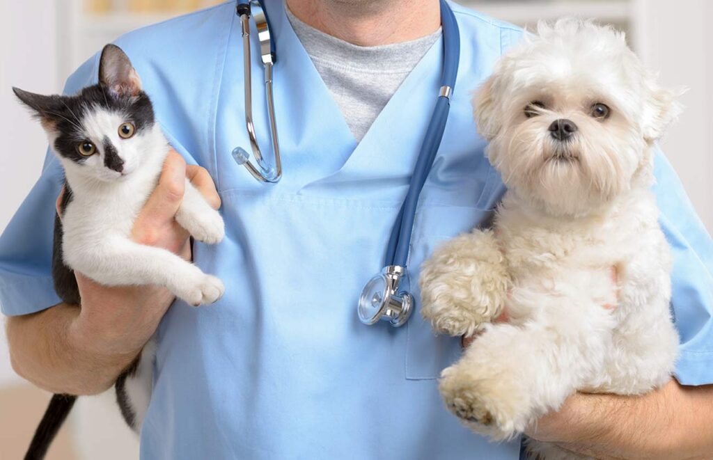 Global Veterinary Services Market