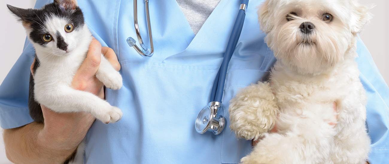 Global Veterinary Services Industry