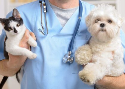 Global Veterinary Services Industry